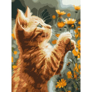 ZESTAW DO MALOW PO NUMERACH RUDY PUSZYSTEK 30X40, Zestawy kreatywne, Art. kreatywne