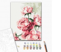 Malowanie po numerach BRUSHME, 40x50 cm, akwarela piwonie, 1 szt., w pudełku, Produkty kreatywne, Artykuły szkolne