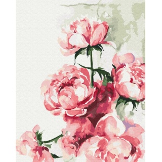 Malowanie po numerach BRUSHME, 40x50 cm, akwarela piwonie, 1 szt., w pudełku, Produkty kreatywne, Artykuły szkolne