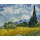Malowanie po numerach BRUSHME, 40x50 cm, pole z zieloną pszenicą i cyprys, 1 szt., w pudełku