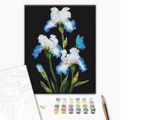 Malowanie po numerach BRUSHME, 40x50 cm, irysy, 1 szt., w pudełku, Produkty kreatywne, Artykuły szkolne