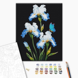 Malowanie po numerach BRUSHME, 40x50 cm, irysy, 1 szt., w pudełku, Produkty kreatywne, Artykuły szkolne