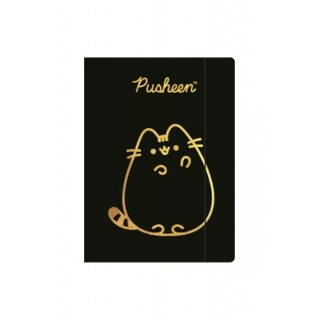 TECZKA Z GUMKĄ A4 PUSHEEN GOLD mkmo, Teczki tekturowe, Organizacja dokumentów