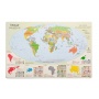 Desk mat GŁOWALA, political map of the world, 58x38cm