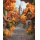 Malowanie po numerach BRUSHME, 40x50 cm, październikowe miasteczko, 1 szt., w pudełku