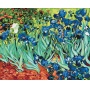 Malowanie po numerach BRUSHME, 40x50 cm, Irysy Van Gogh, 1 szt., w pudełku, Produkty kreatywne, Artykuły szkolne