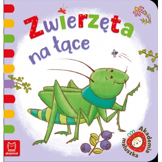 ZWIERZĘTA NA ŁĄCE. AKADEMIA MALUSZKA, Do czytania, Książeczki