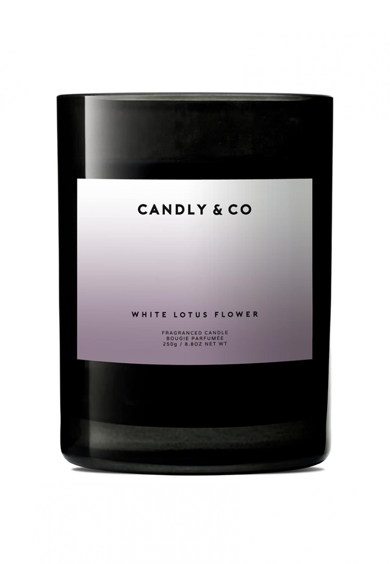 Świeca sojowa w szkle CANDLY&CO, bez cytatu, zapach No.8, 250g, Świece, Wyposażenie biura