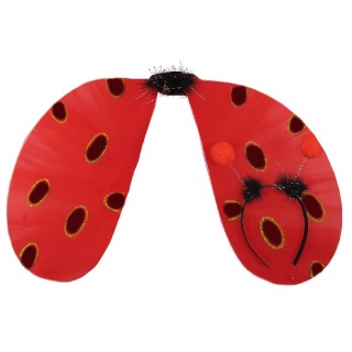 SKRZYDEŁKA ; 2821, Kostiumy i dodatki, Art. na okazje i przyjęcia