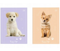 ZESZYT DO SŁ&Oacute;WEK A6 32K.KRATKA UV Puppy Sign, Zeszyty, Zeszyty i bloki