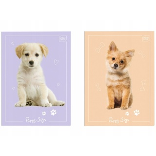 ZESZYT DO SŁ&Oacute;WEK A6 32K.KRATKA UV Puppy Sign, Zeszyty, Zeszyty i bloki