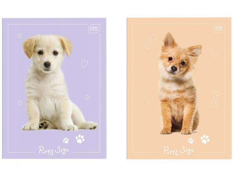 ZESZYT DO SŁ&Oacute;WEK A6 32K.KRATKA UV Puppy Sign, Zeszyty, Zeszyty i bloki