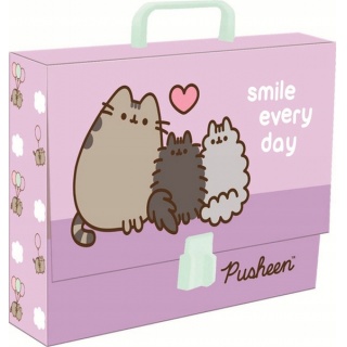 TECZKA Z RĄCZKĄ A4 XL PUSHEEN mkmp, Teczki przestrzenne, Organizacja dokumentów