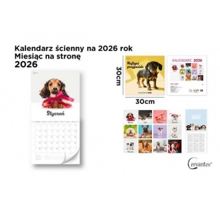 Kalendarz ścienny 2026 pies 30x30cm., Ścienne, Kalendarze