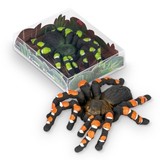 Gumka do ścierania tarantula TRENDHAUS ZOO, mix kolorów, Szkolne, Gadżety