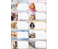 NAKLEJKI NA ZESZYTY THE SWEET PETS KIDS 2ark., Okładki i dodatki, Zeszyty i bloki