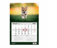 Kalendarz 2026 Jednodzielny Pies corgi