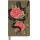 Notes MOLESKINE Snake 2025, L, w linie, 13x21cm, edycja limitowana