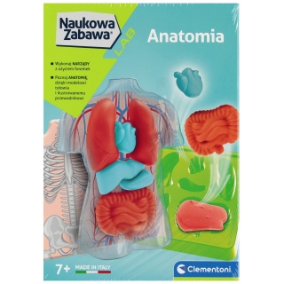 ANATOMIA !!, Dla najmłodszych, Zabawki