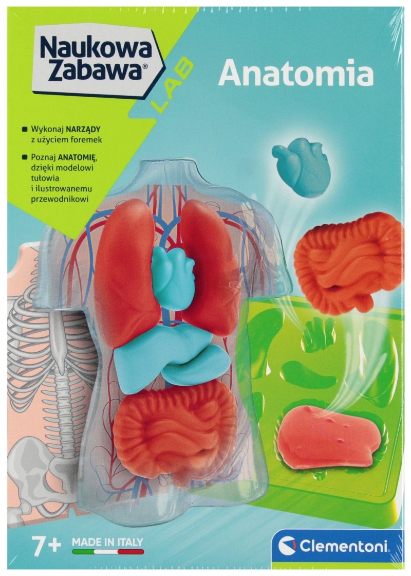 ANATOMIA !!, Dla najmłodszych, Zabawki