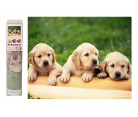 MOZAIKA DIAMENTOWA PIESKI LABRADORY 6117