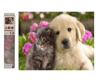 MOZAIKA DIAMENTOWA PIES Z KOTEM 7954, Zestawy kreatywne, Art. kreatywne