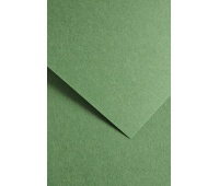 KARTON OZD. A4 220g EARTH ZIELONY 20szt.