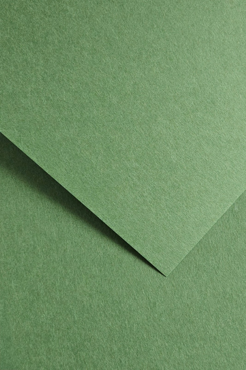 KARTON OZD. A4 220g EARTH ZIELONY 20szt., Brystole, kartony, Papier