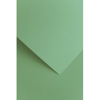 KARTON OZD. A4 220gr.SAWANNA SZAŁWIOWY 20ark., Brystole, kartony, Papier