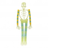 GIĘTKI SZKIELET ŚWIECĄCY W CIEMNOŚCI