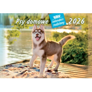 KALENDARZ RODZINNY WL08 PSY DOMOWE 2026, Ścienne, Kalendarze