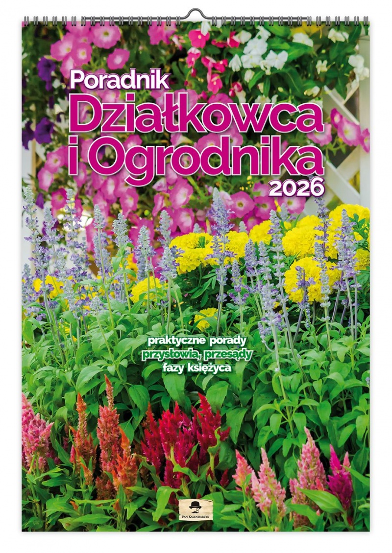 KALENDARZ ŚCIENNY A3 6-PL.PORAD.DZIAŁK.I OGR.2026, Ścienne, Kalendarze