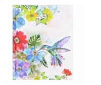 NOTATNIK DUŻY OGR&Oacute;D KOLIBRA, Notatniki, Zeszyty i bloki