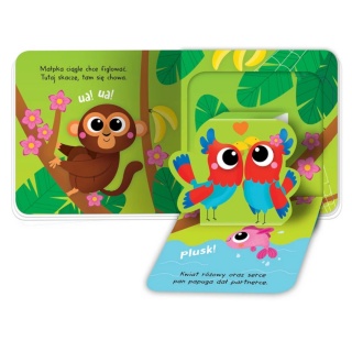 Otwórz okienko! W dżungli. Książeczka pop-up, Do czytania, Książeczki