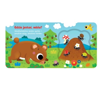 Otwórz okienko! Gdzie jesteś, misiu?, Do czytania, Książeczki