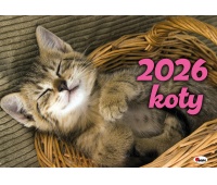 KALENDARZ 12-PLANSZOWY KOTY KA2 2026