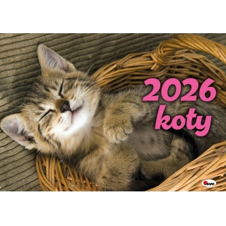 KALENDARZ 12-PLANSZOWY KOTY KA2 2026, Ścienne, Kalendarze