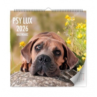 KALENDARZ ŚCIENNY LUX PSY 2026, Ścienne, Kalendarze