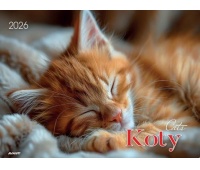 KALENDARZ ALBUMOWY KOTY 2026