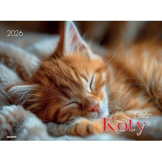 KALENDARZ ALBUMOWY KOTY 2026, Ścienne, Kalendarze