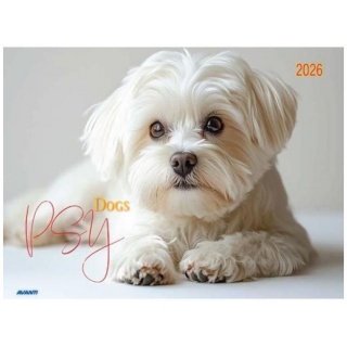 KALENDARZ ALBUMOWY PSY 2026, Ścienne, Kalendarze