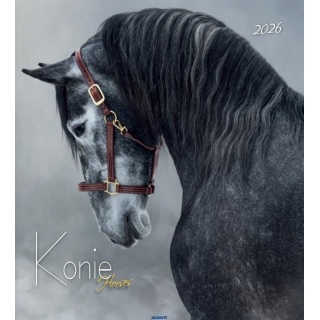 KALENDARZ ŚCIENNY DUŻY KONIE 2026, Ścienne, Kalendarze