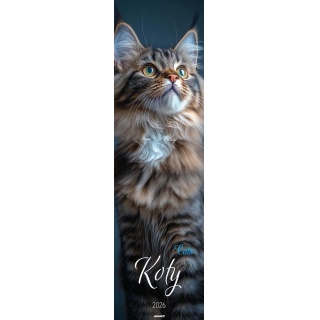KALENDARZ PASKOWY KOTY 2026, Ścienne, Kalendarze