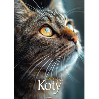 KALENDARZ ŚCIENNY 7-PLANSZOWY KOTY 2026, Ścienne, Kalendarze