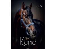 KALENDARZ ŚCIENNY 7-PLANSZOWY KONIE 2026