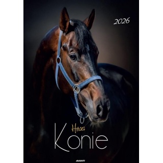 KALENDARZ ŚCIENNY 7-PLANSZOWY KONIE 2026, Ścienne, Kalendarze