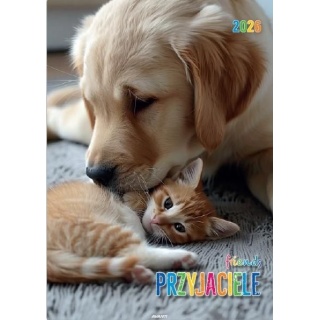 KALENDARZ ŚCIENNY 7-PLANSZOWY PRZYJACIELE 2026, Ścienne, Kalendarze