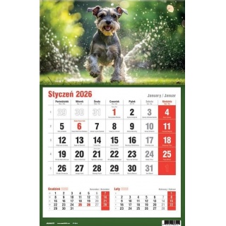 KALENDARZ JEDNODZIELNY TRÓJDZIELNY MIX 2026, Ścienne, Kalendarze
