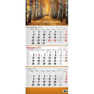 KALENDARZ TRÓJDZIELNY 3D MIX 2026, Ścienne, Kalendarze