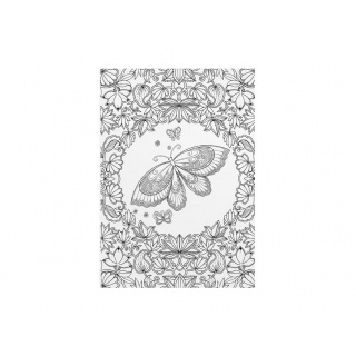 Kolorowanka antystresowa Ogród motyli A4 32k., Kolorowanki, Książeczki